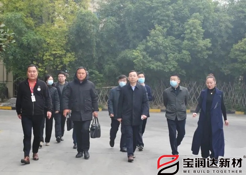 開封黨工委書記肖文興一行蒞臨寶潤達(dá)考察